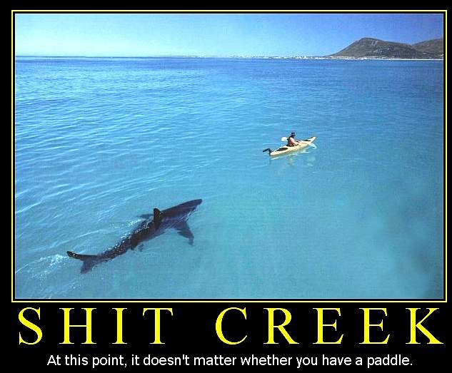 In this situation, a paddle in unlikley to be helpful. Sharks are more dangerous than shit!